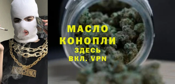 гашик Алексеевка