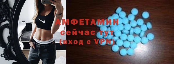 стаф Алзамай