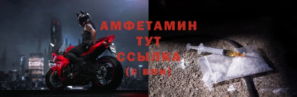 гашик Алексеевка