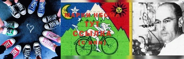 стаф Алзамай
