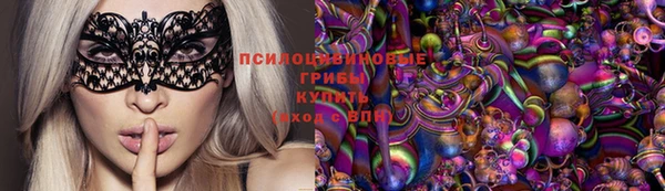 стаф Алзамай